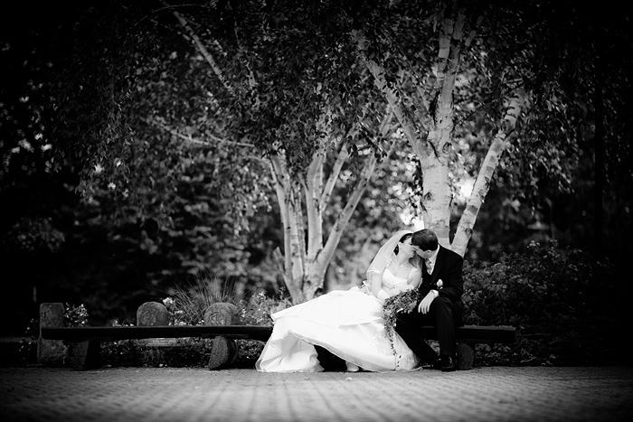 Hochzeitsfotograf Bürstadt