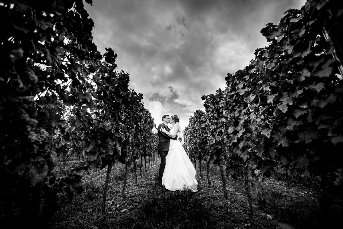 Hochzeitsbilder Weingut Zumstein