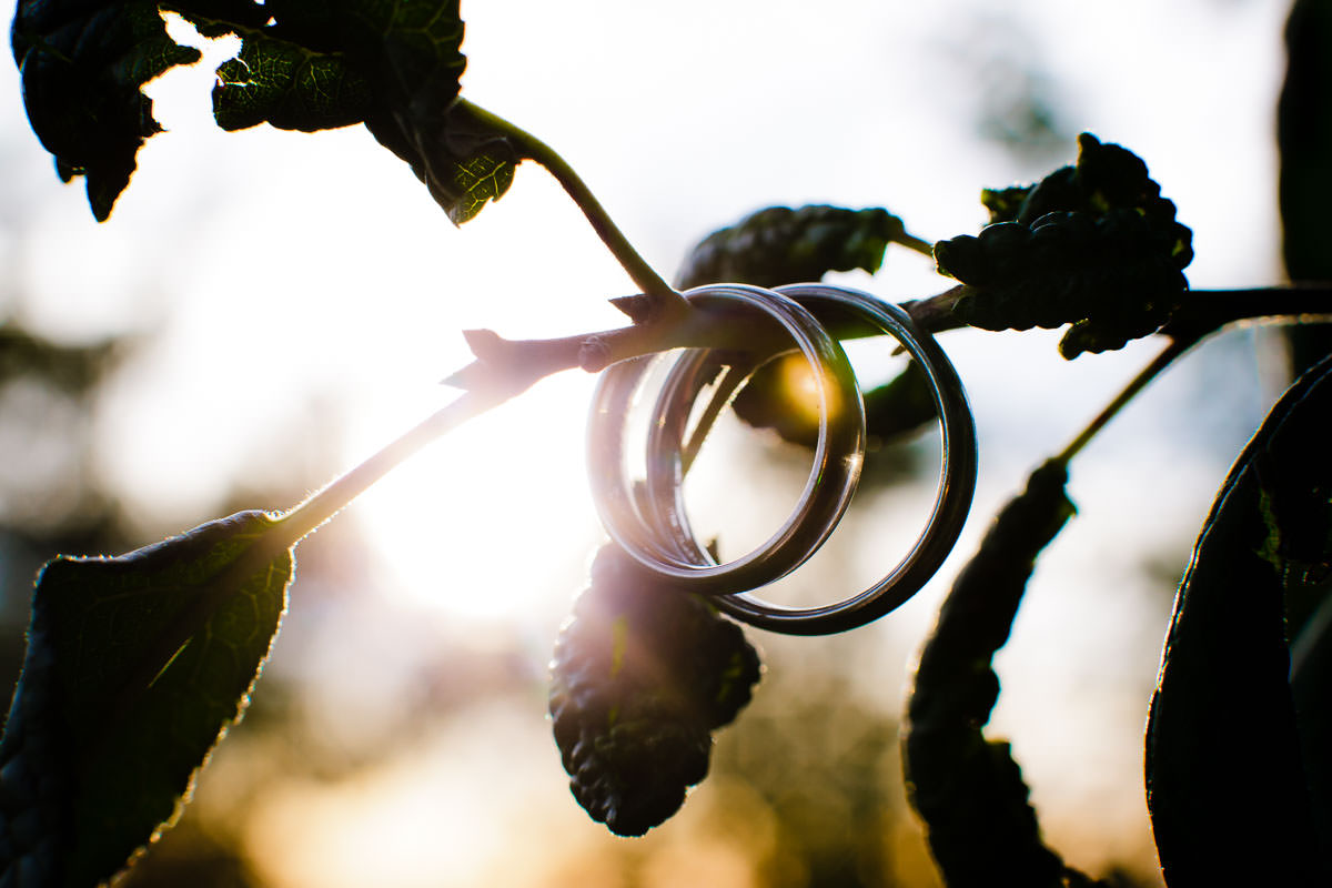 Hochzeitsfotos im Weingut Schröder 