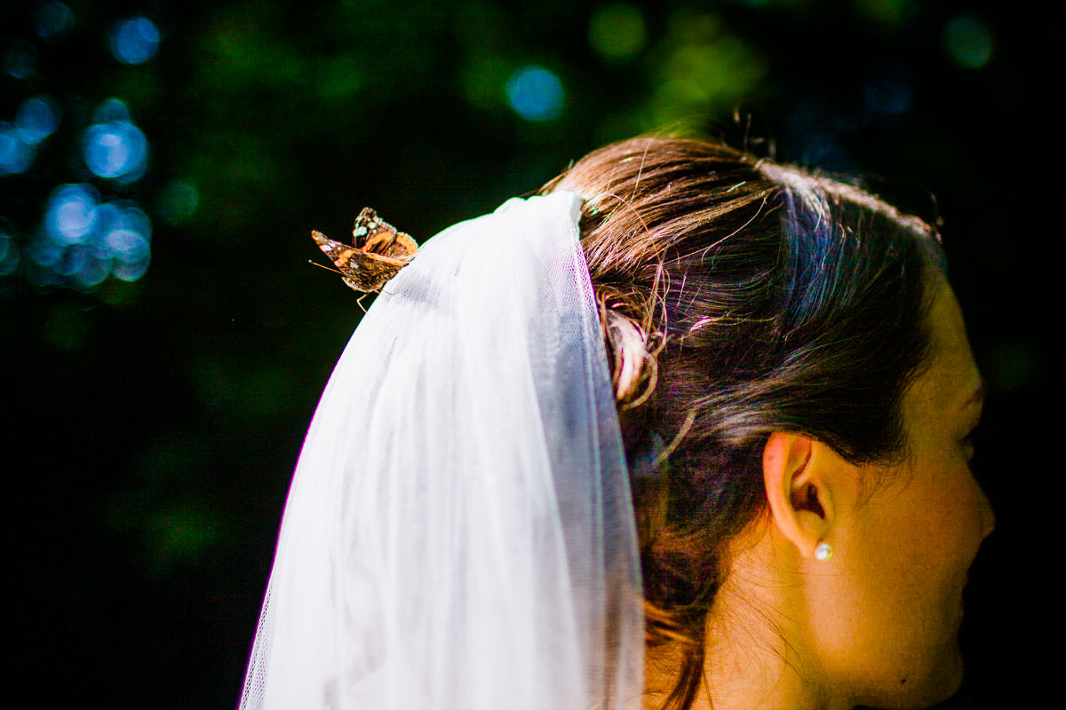 Hochzeit Haldmühle Bissersheim