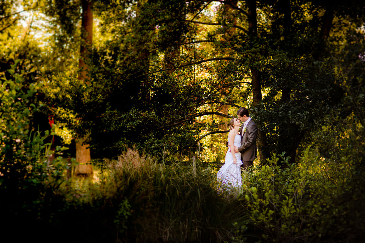 Hochzeitsfotos Wartenberger Mühle Skulpturenpark