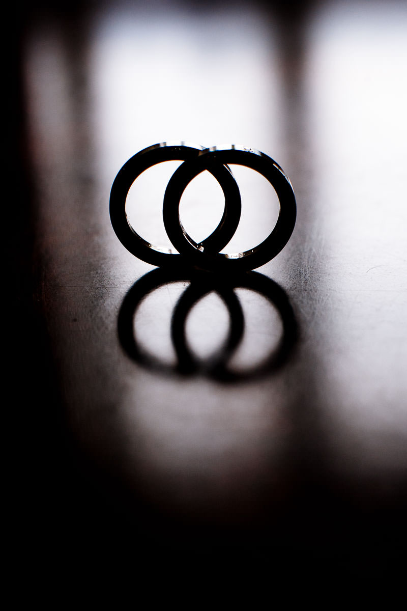 Ringbild im Schloss Neuhaus