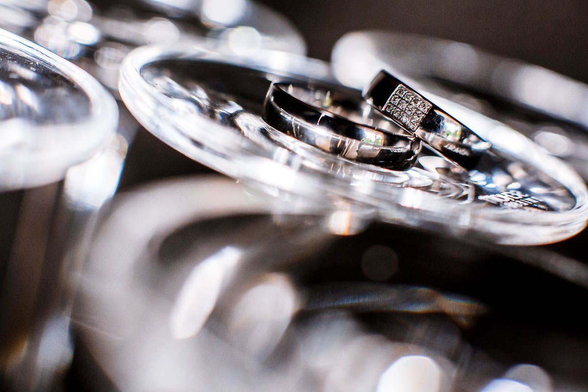 Ringbilder im Luisenpark Mannheim