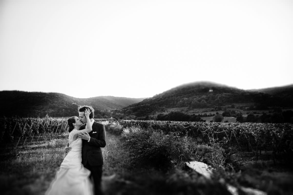 Hochzeit Weingut Reichsrat von Buhl Deidesheim