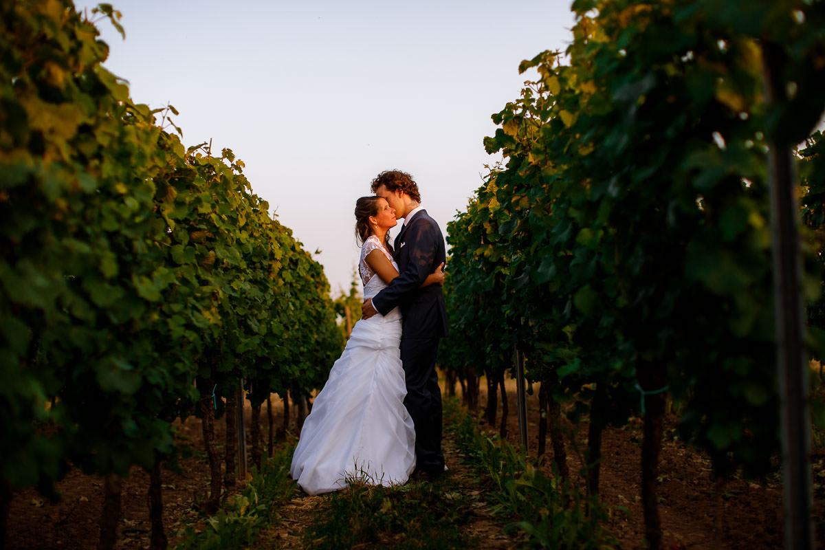 Hochzeitsfoto Weinreben in Deidesheim