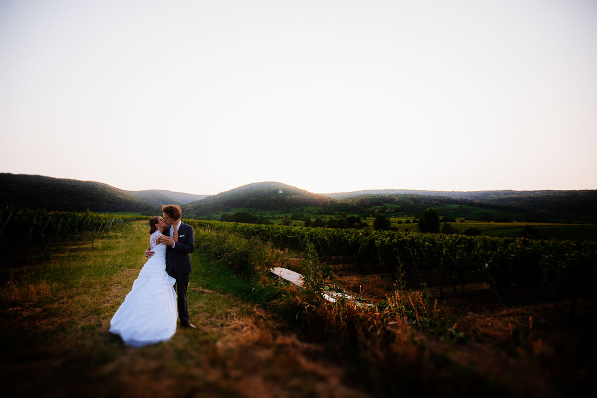 Hochzeitsfotos Weinreben in Deidesheim