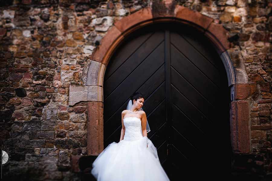 Hochzeitsfotos Weinheim