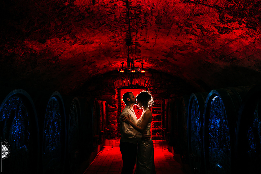 Hochzeit Hildegardishof, Portrait im Weinkeller