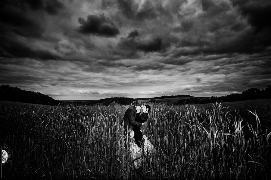 Hochzeitsfotograf Darmstadt Portrait in den Feldern