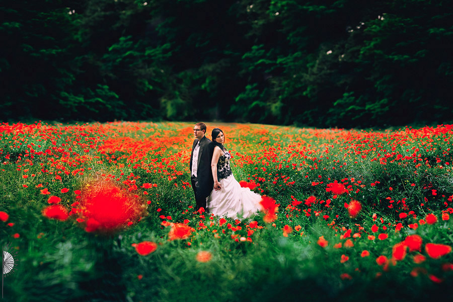 Hochzeit Darmstadt Portrait im Feld