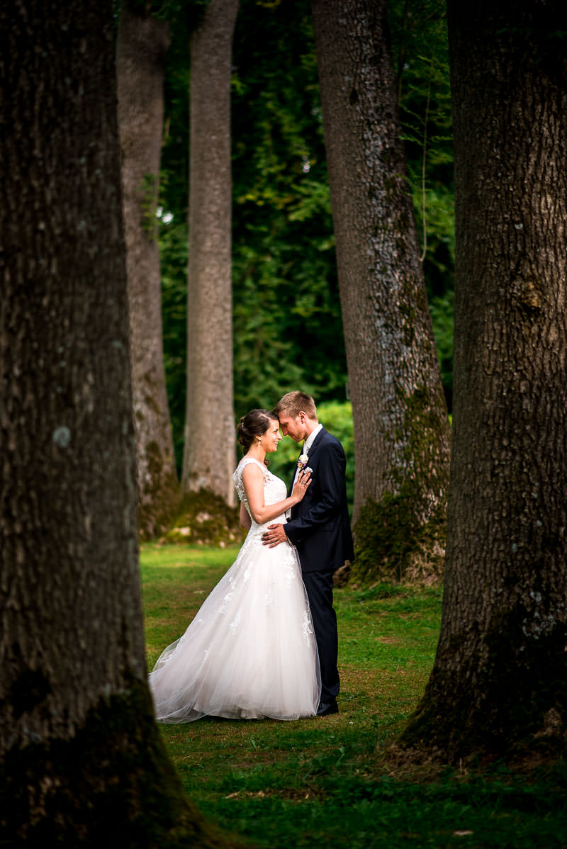 Hochzeitsbilder Gräflicher Park