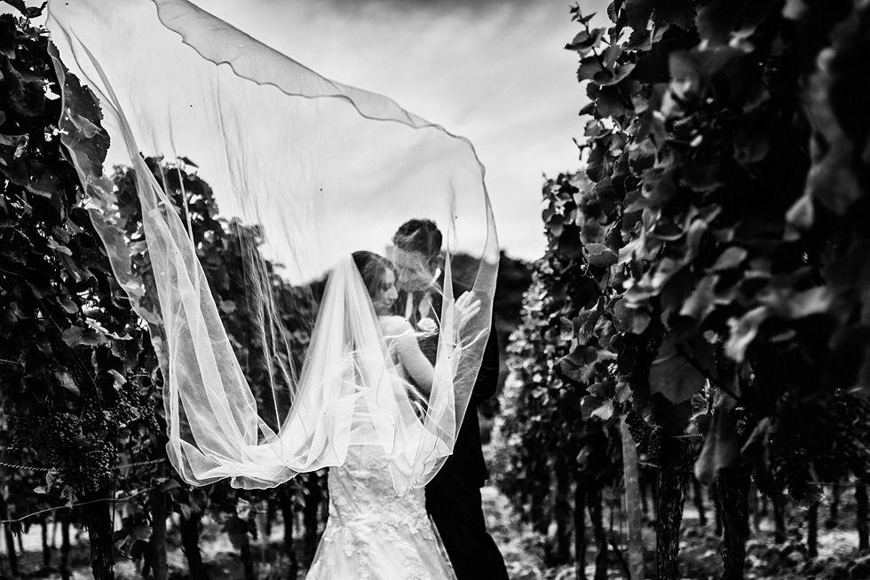 Hochzeitsfotos Neustadt an der weinstrasse