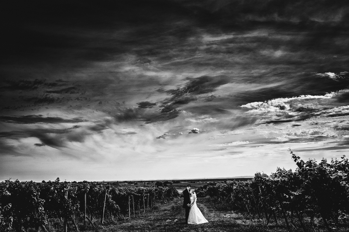 Hochzeitsfotograf Deutsches Weintor