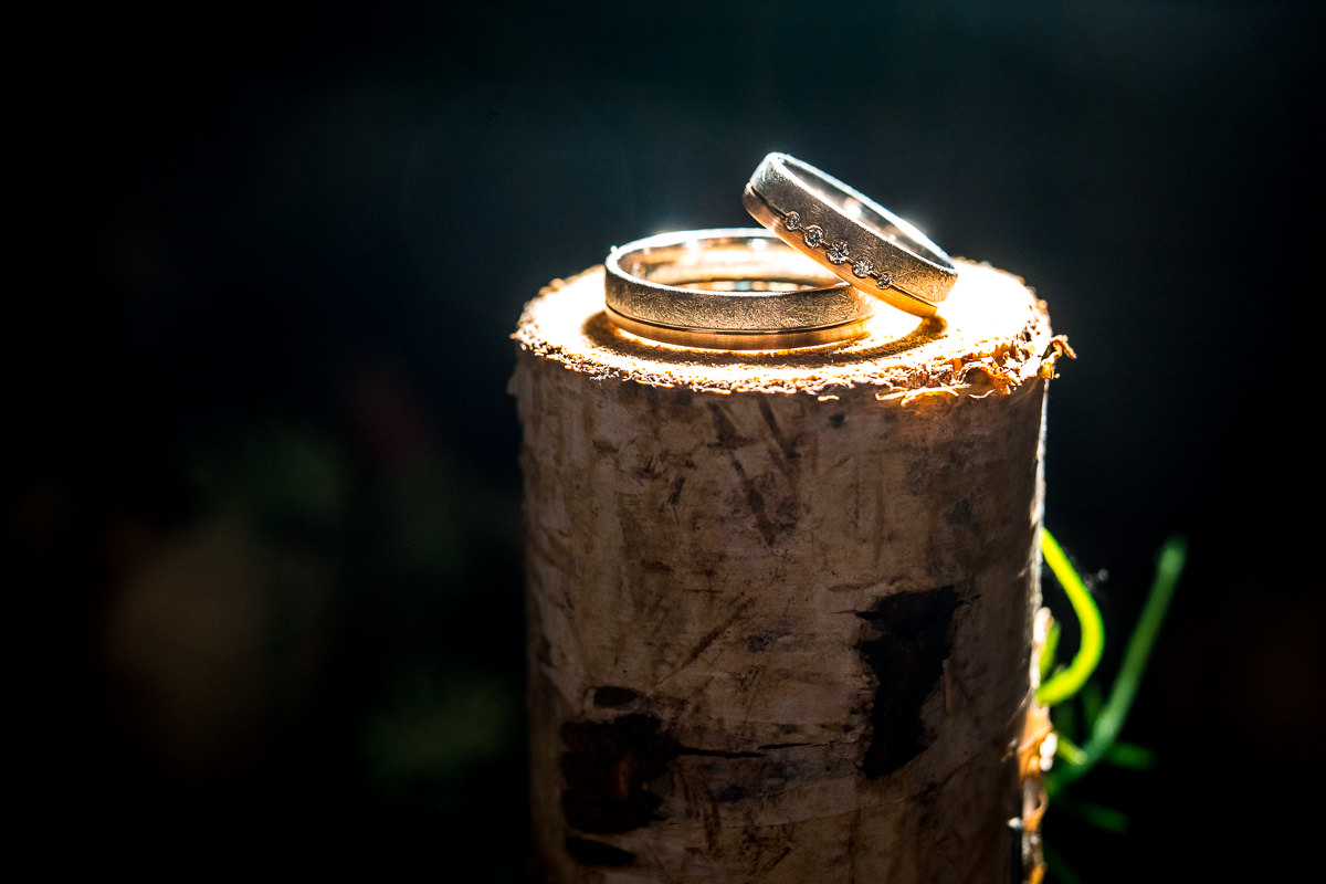 Hochzeit Villa im Tal Ringbilder