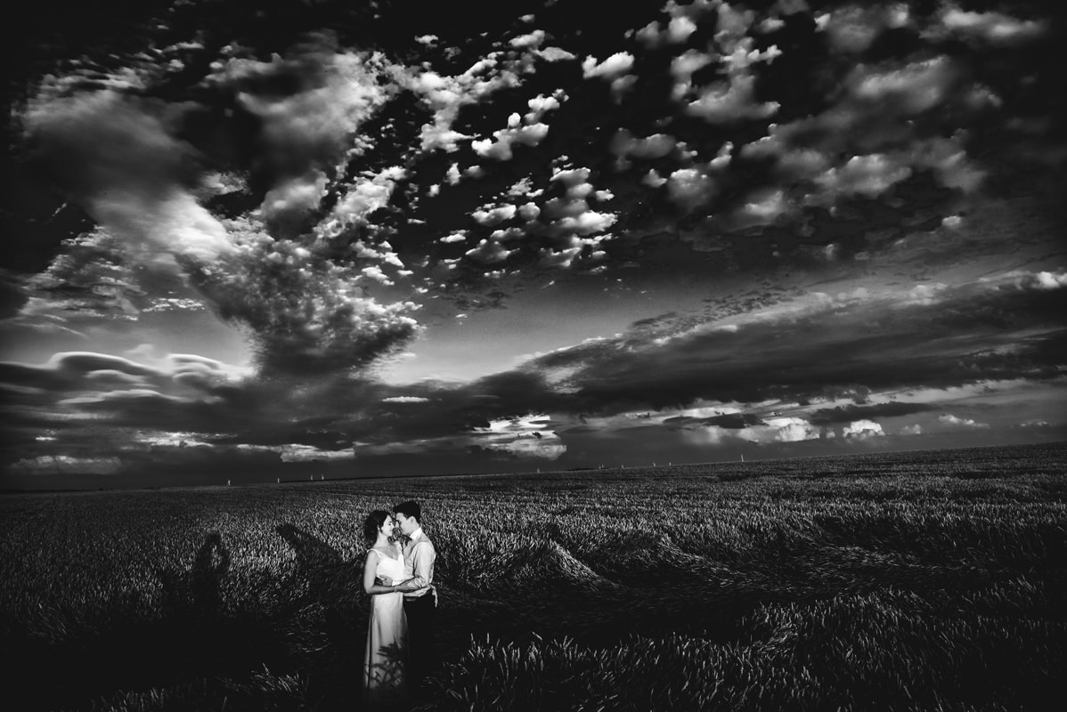 Hochzeitsbilder im Weizenfeld