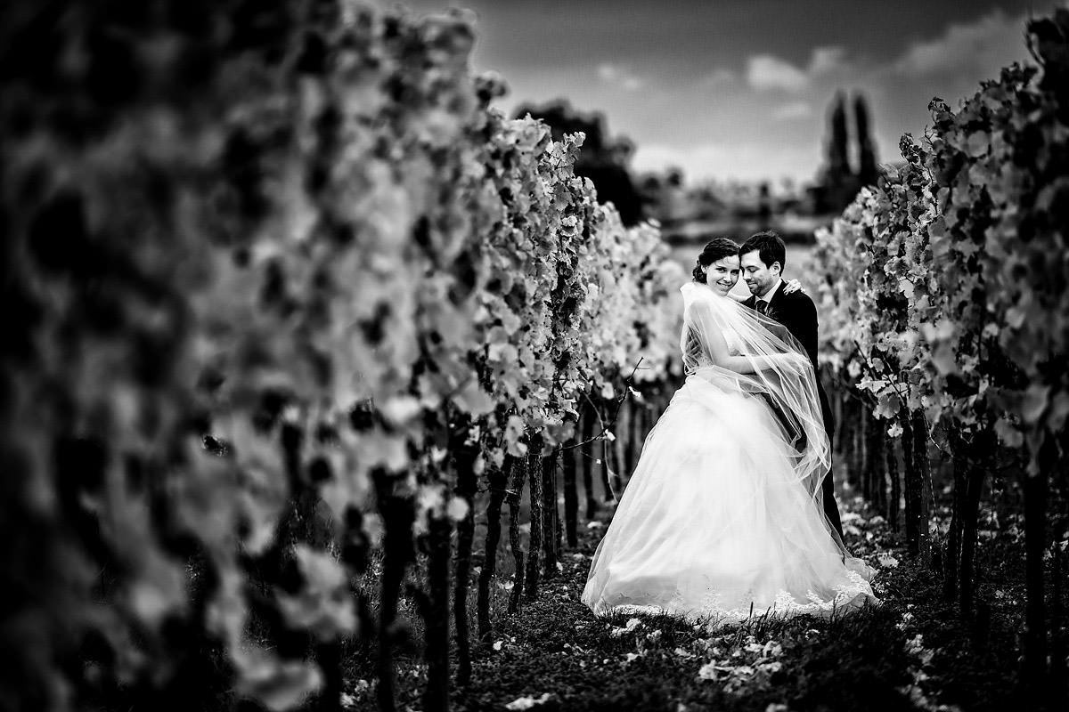 Hochzeitsfotograf Bad Dürkheim Weinberge