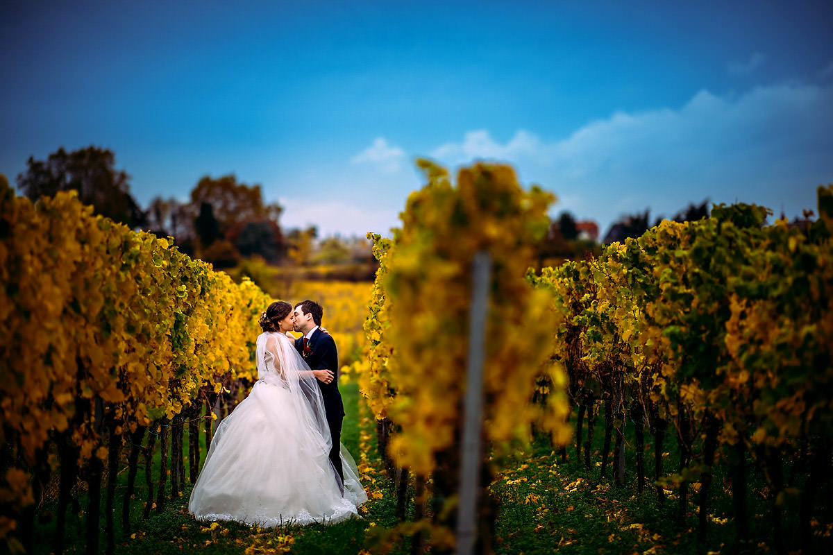 Hochzeitsfotograf Bad Dürkheim Weinberge