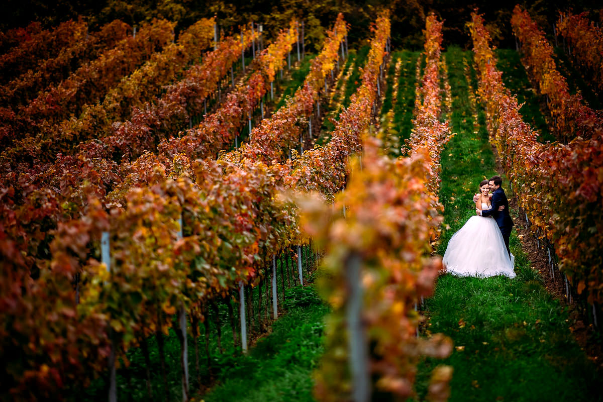 Hochzeitsfotograf in Bad Dürkheim und Umgebung