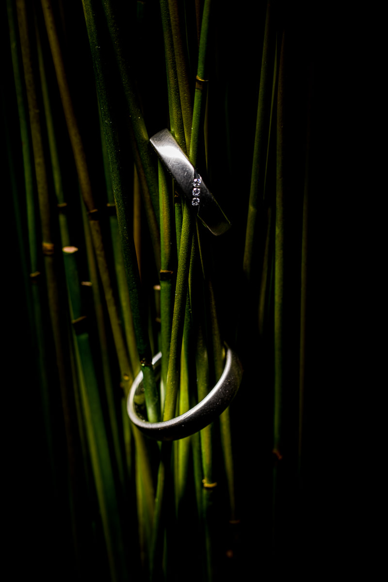 Hochzeitsreportage Ketschauer Hof Ringbilder 