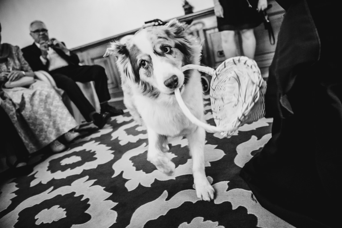 Trauung Parkhotel Kronsberg Hannover