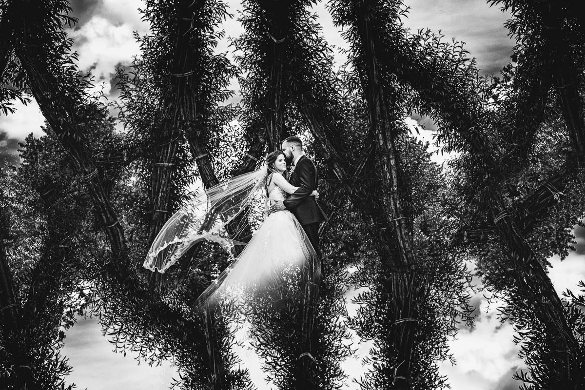 Hochzeitsfotograf Gartenschau Kaiserslautern