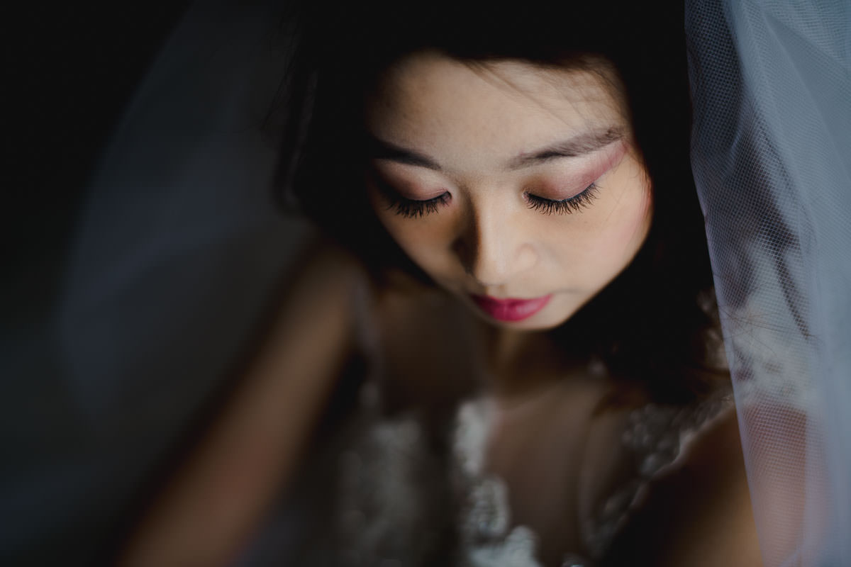 Hochzeitsbilder Best Western Plaza Darmstadt