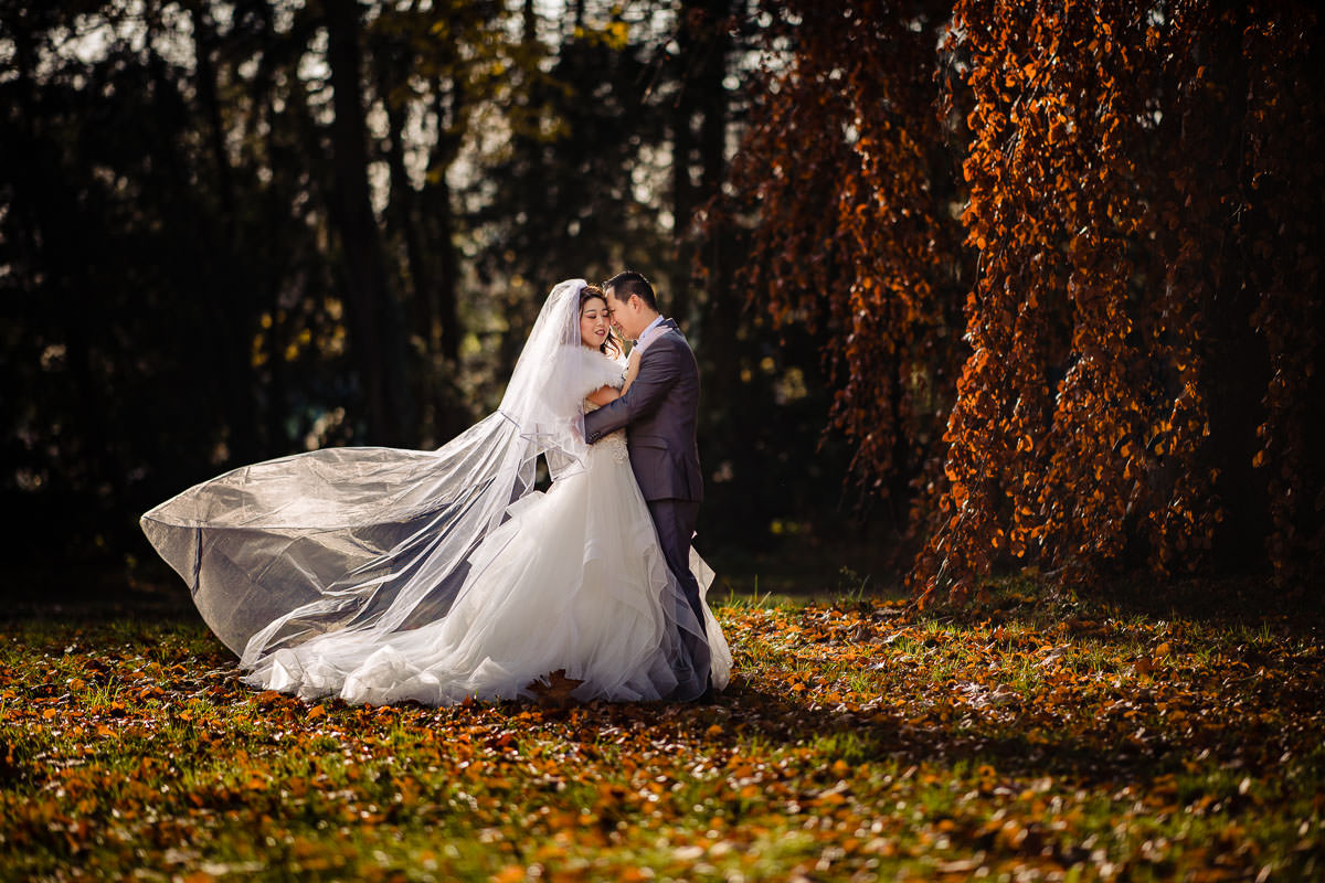 Hochzeitsfotos Rosenhöhe Darmstadt