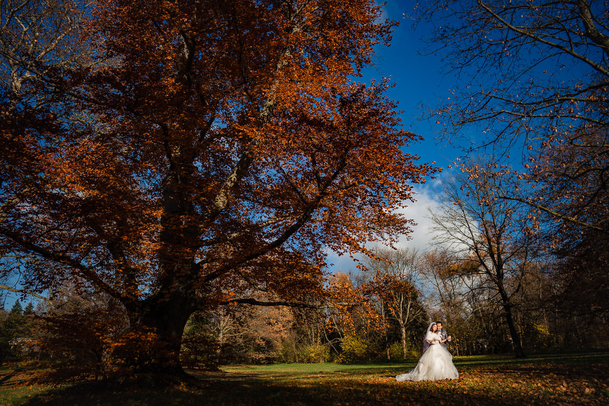 Hochzeitsbilder Rosenhöhe Darmstadt