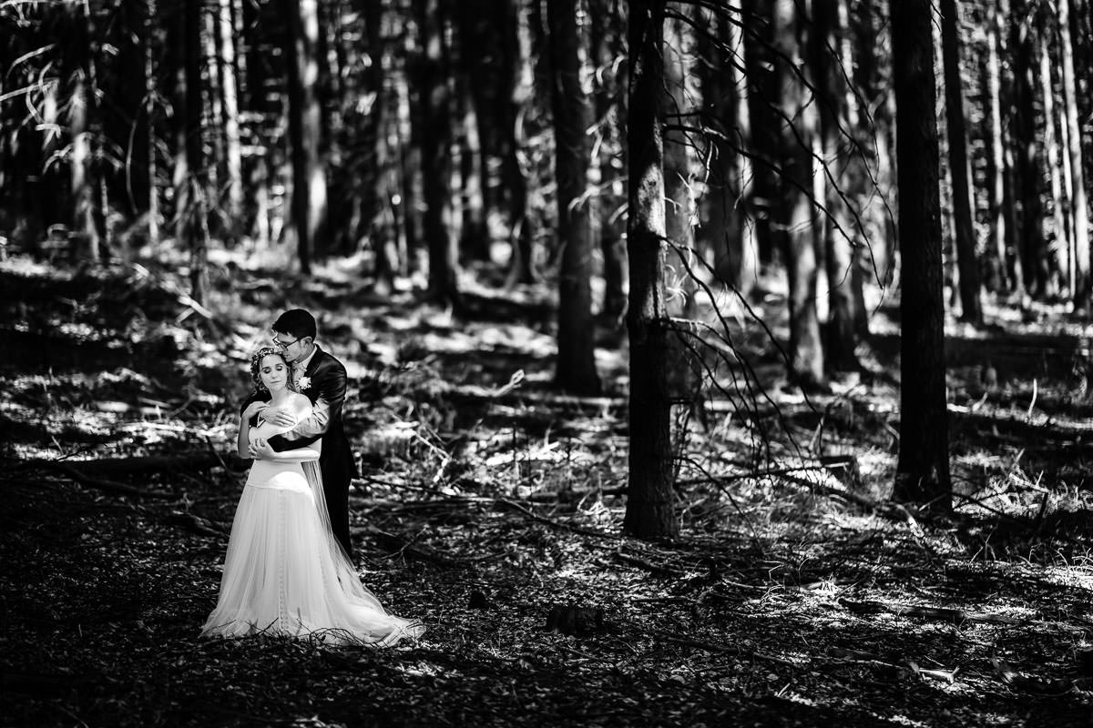 Hochzeitsfotos Hoher Darsberg