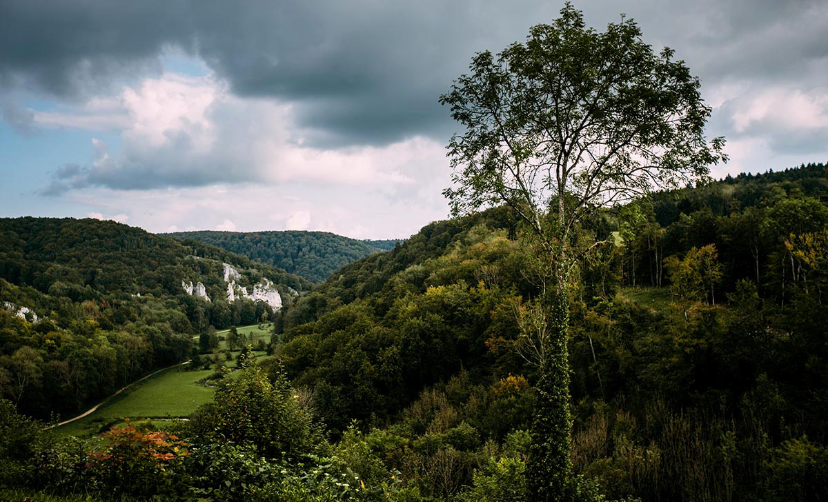 Hochzeitslocation Maisenburg