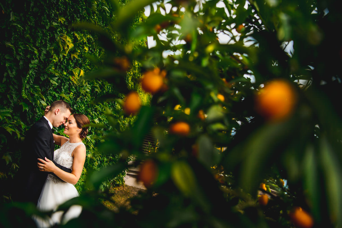 Hochzeitsfotos am Bodensee