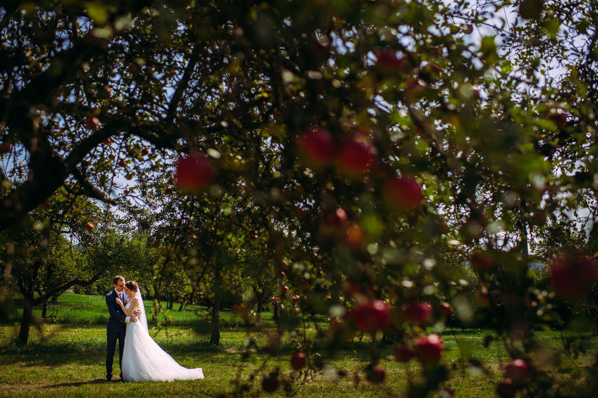 Hochzeit Rebers Pflug