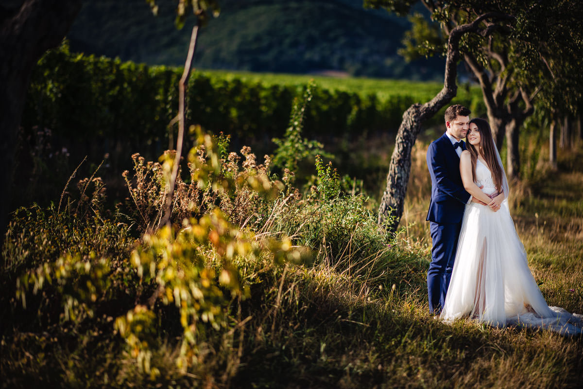 Braurtpaarshooting in den Weinbergen in Neustadt an der Weinstrasse