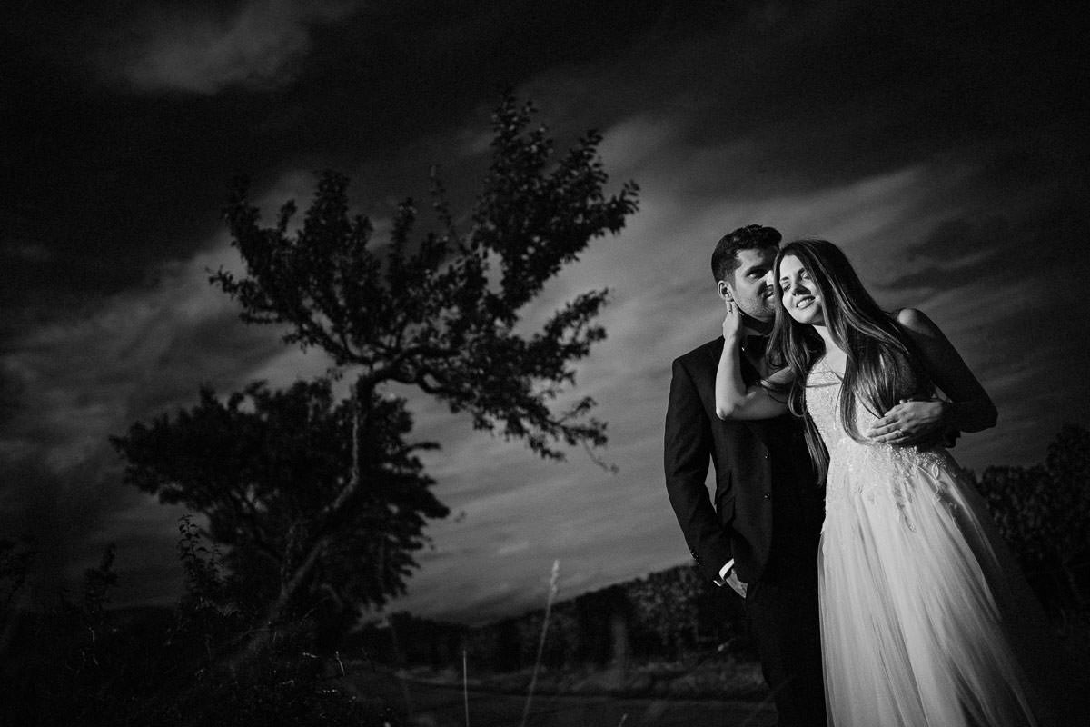 Braurtpaarshooting in den Weinbergen in Neustadt an der Weinstrasse