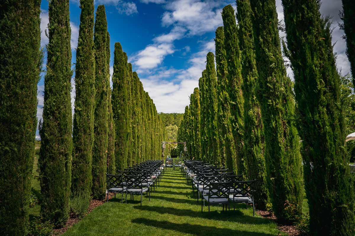 Hochzeitslocations in der Pfalz Weingut Mussler