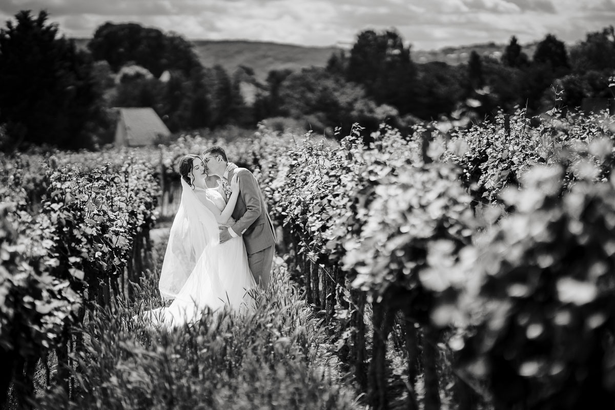 Hochzeitsfotos in den Weinreben des Weingut Mussler
