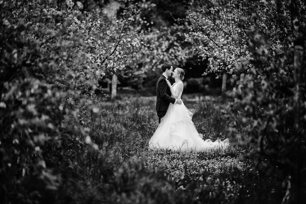Hochzeitsfotos Botanischer Obstgarten Heilbronn