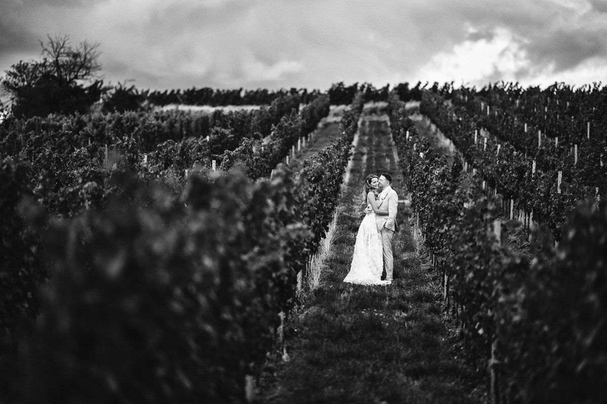 Hochzeitsfotos in den Weinbergen bei einer Hochzeit im Weingut von Winning in Deidesheim