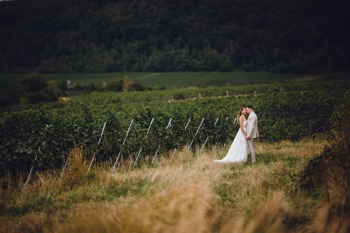 Hochzeitsfotos in den Weinbergen bei einer Hochzeit im Weingut von Winning in Deidesheim