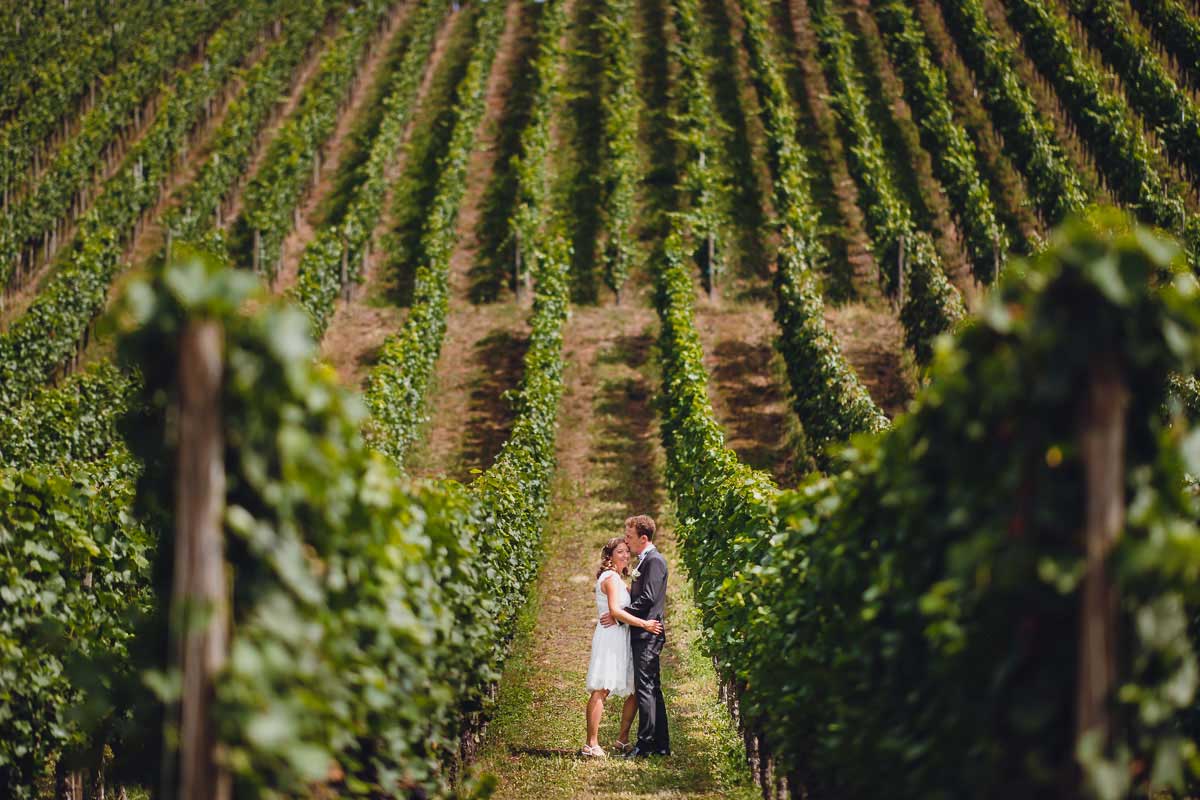 Brautpaar in Weinreben in Überlingen am Bodensee
