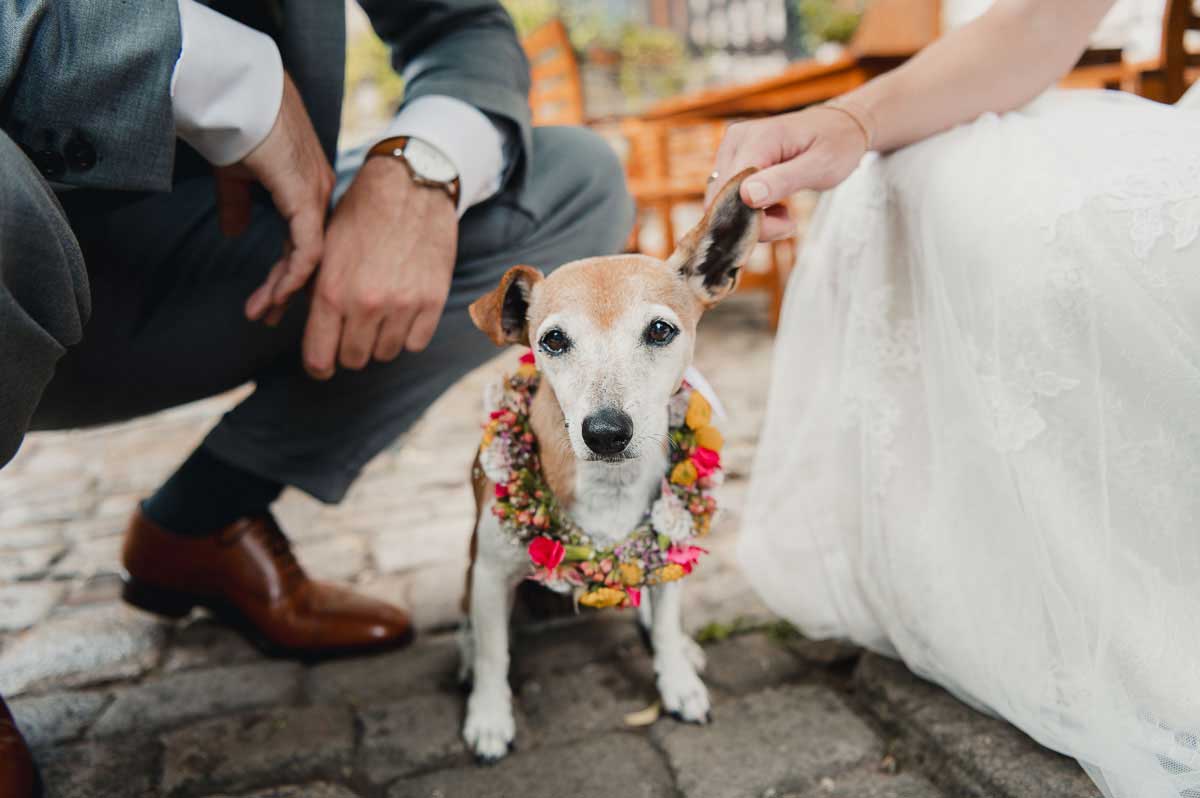 Hochzeitsfotos mit Hund im Wagners Hof